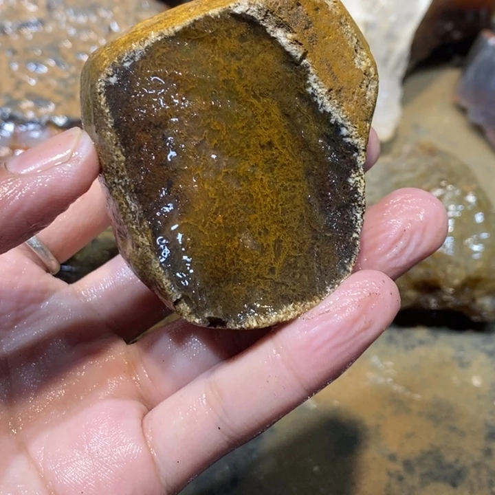 未镶嵌玛瑙/玉髓珠宝半成品