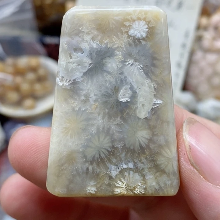 硅化珊瑚（珊瑚玉）未镶嵌颈饰有瑕