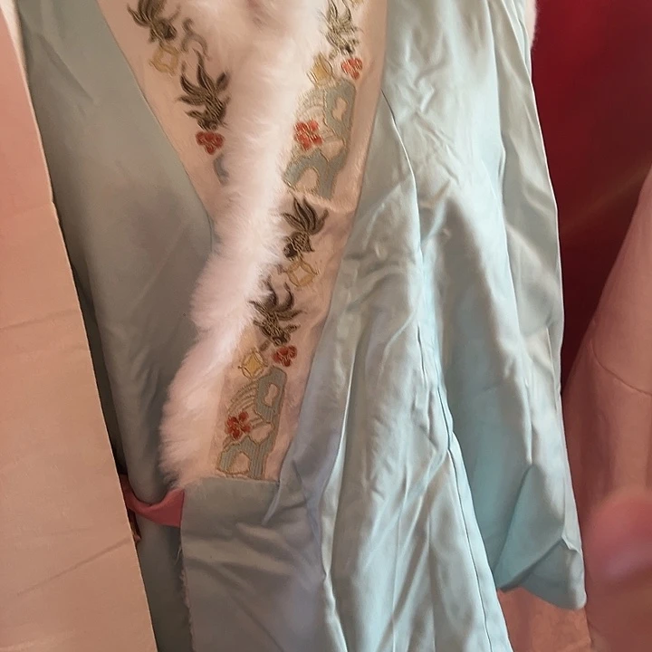 蓝色比甲➕白色里衣加白色裙子L