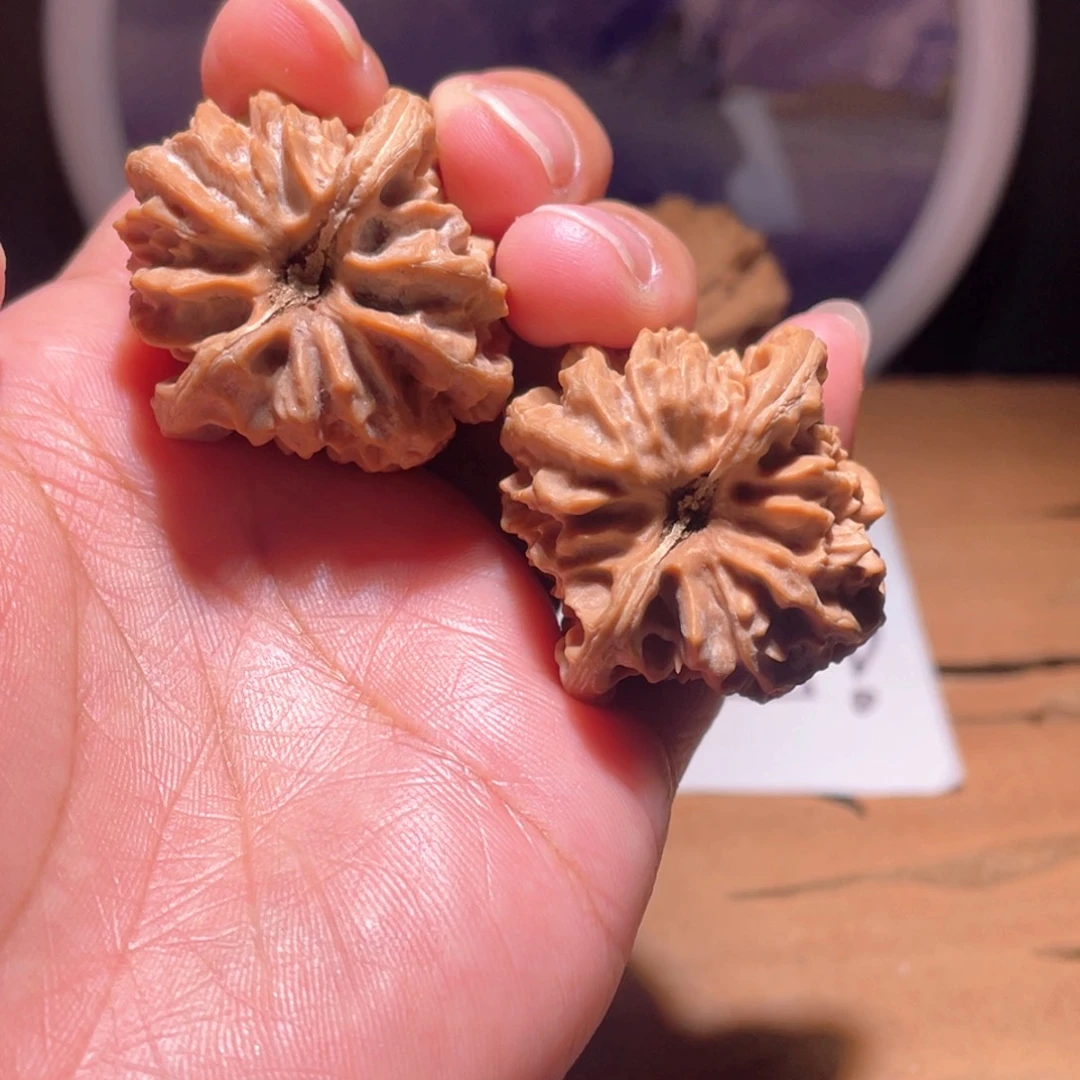 S045 35尺寸 大龙