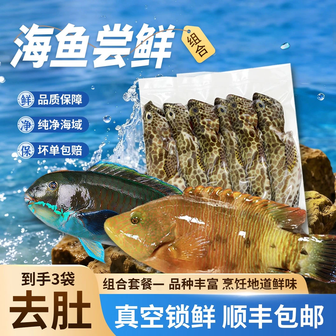 海鱼组合速冻锁鲜蓝点星斑蜂巢斑海鲜清蒸红烧鱼辅食去内脏