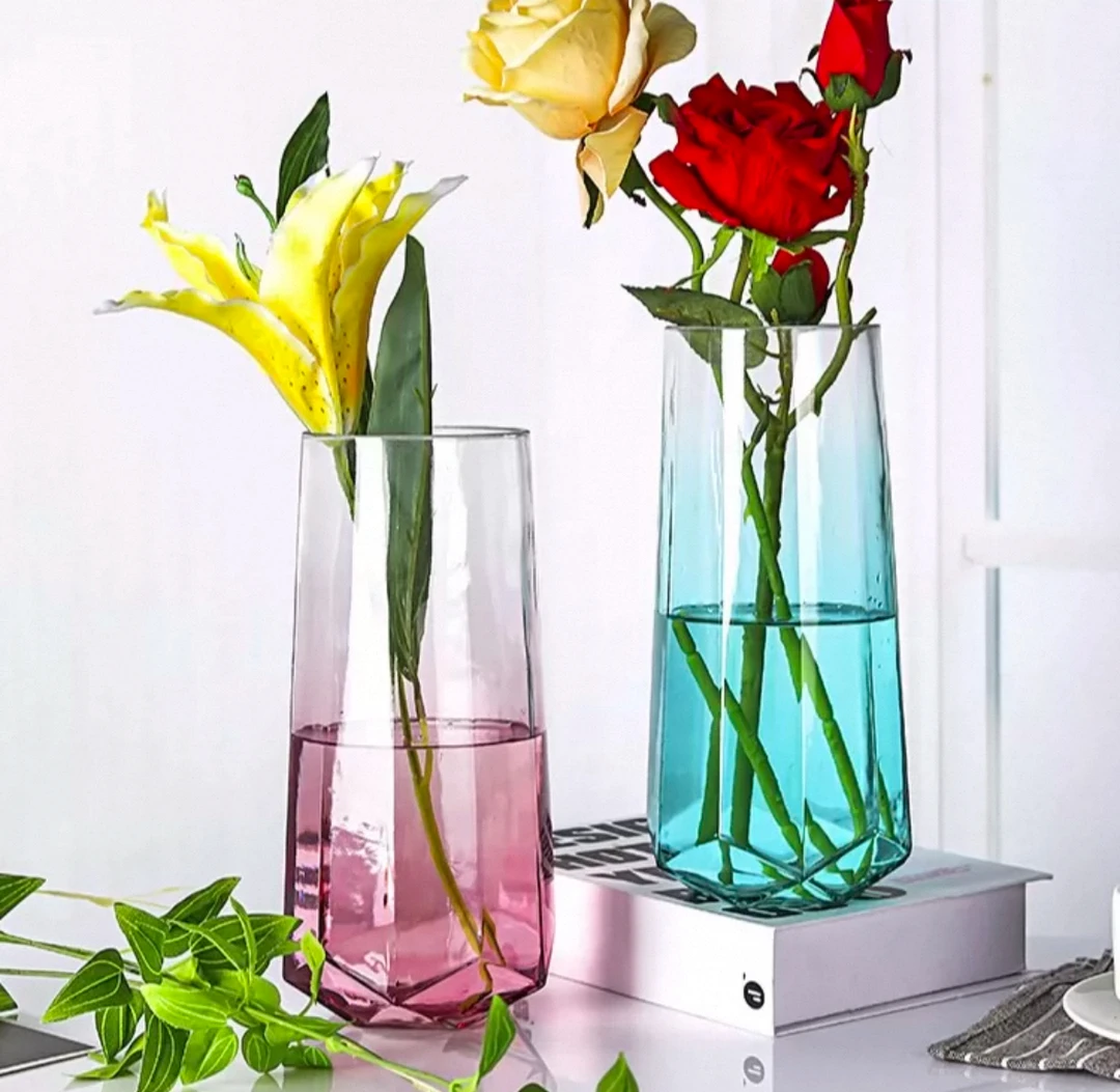 ins风高级感玻璃花瓶水养插花客厅装饰