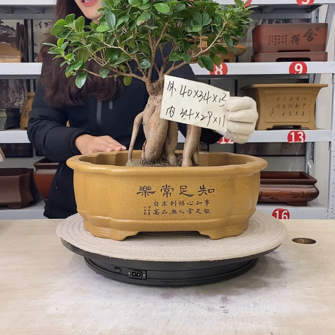 花盆紫砂紫砂花盆