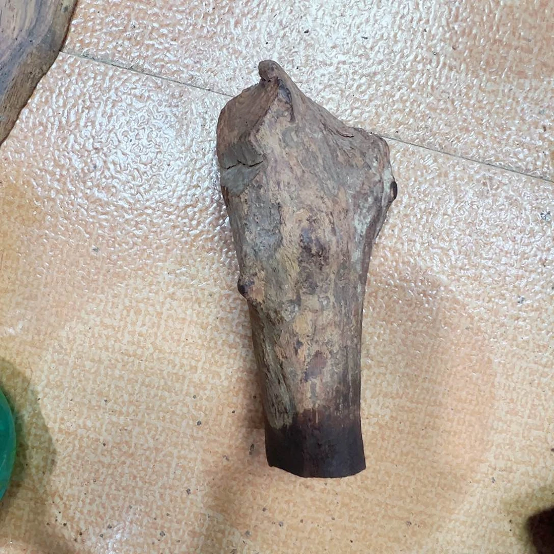黄花梨/降香黄檀铁*袍海南黄花梨