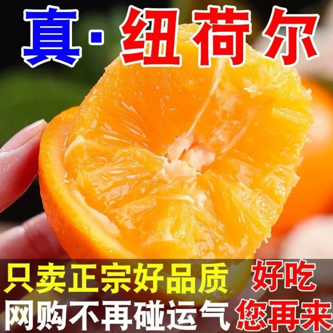 新鲜应季 纽荷尔脐橙 爆甜 皮薄多汁 鲜甜可口 产地现摘现发
