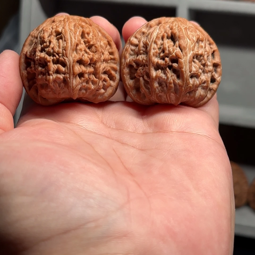 超****把件文玩核桃40新果白狮子