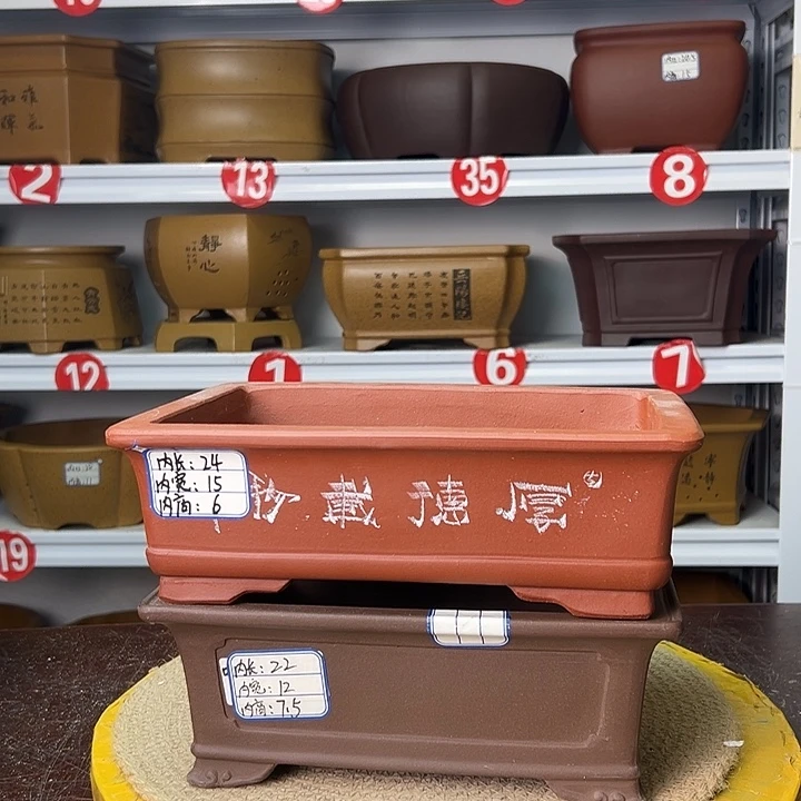 花盆紫砂你在一起