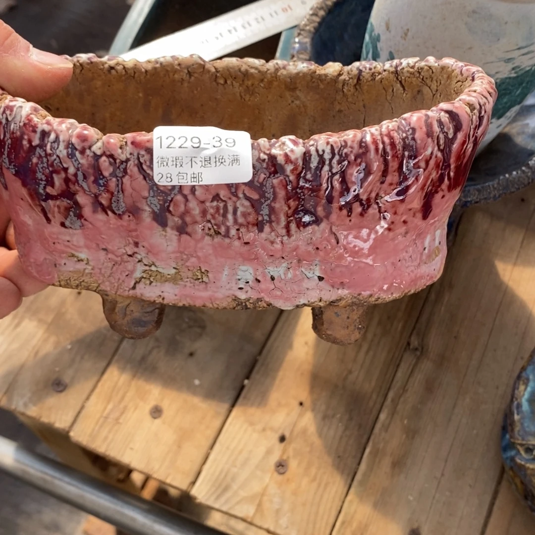 39号花盆内17高9花盆