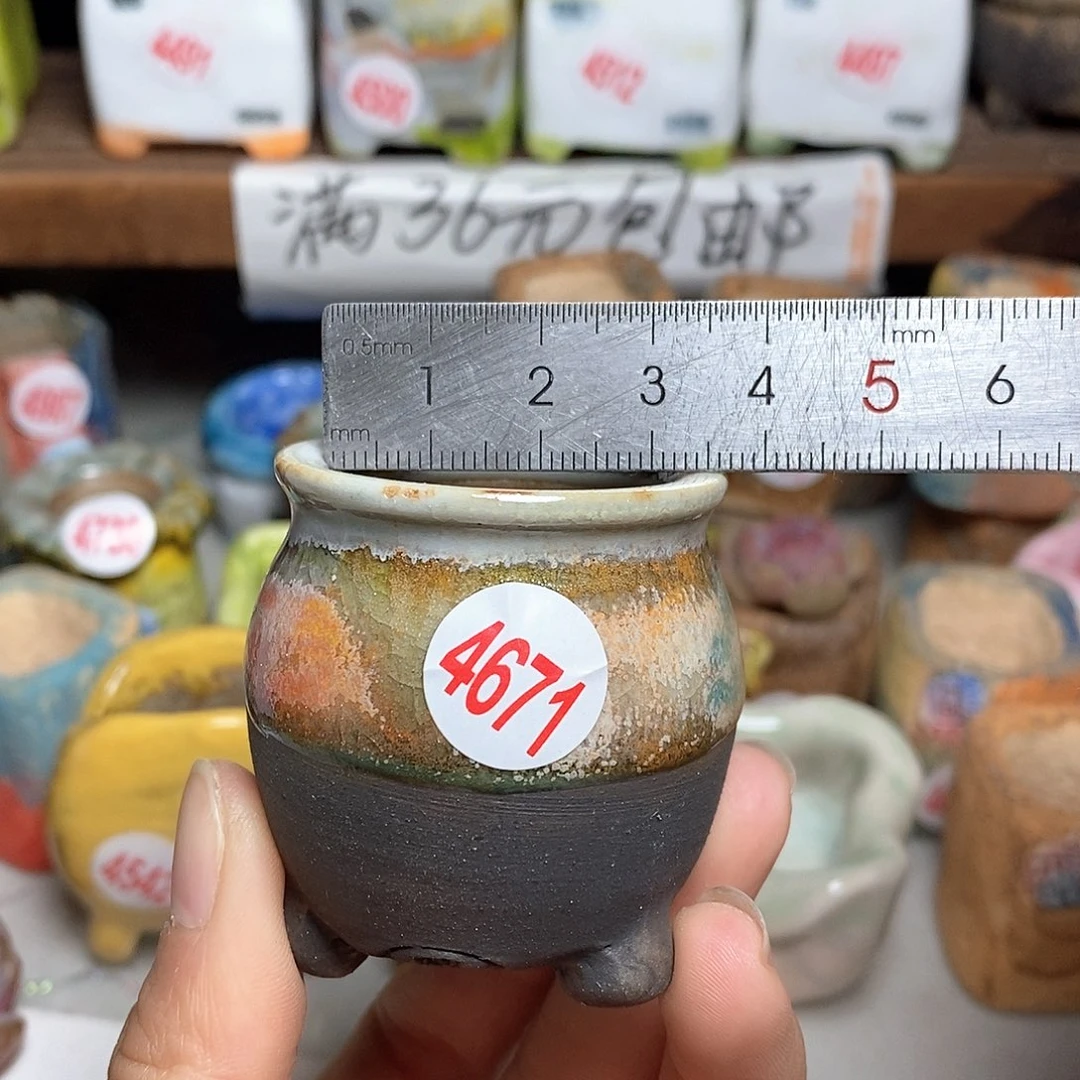 红陶拍5送一个小