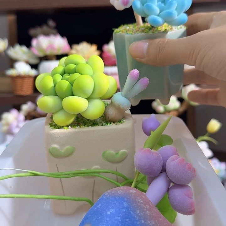 炸***多肉多肉多肉多肉