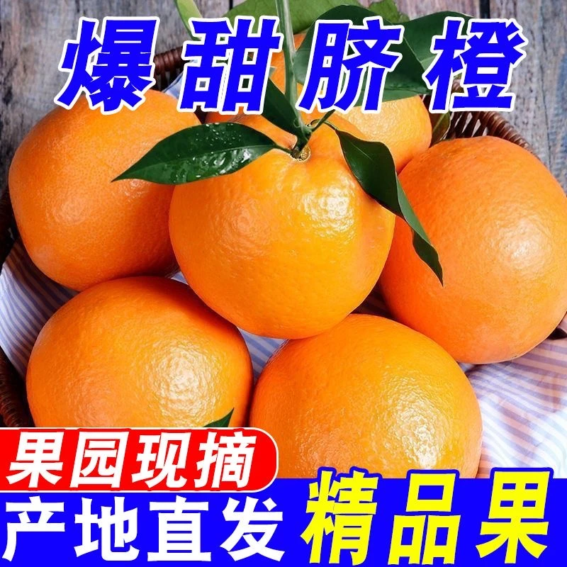 【清甜多汁】正宗赣南脐橙当季新鲜橙子江西橙子新鲜水果现摘现发