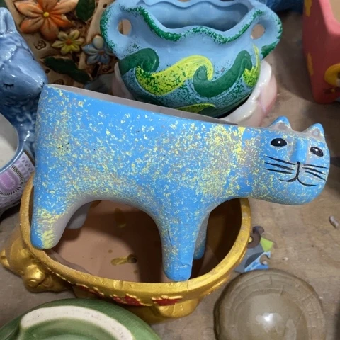 站着猫313131331313
