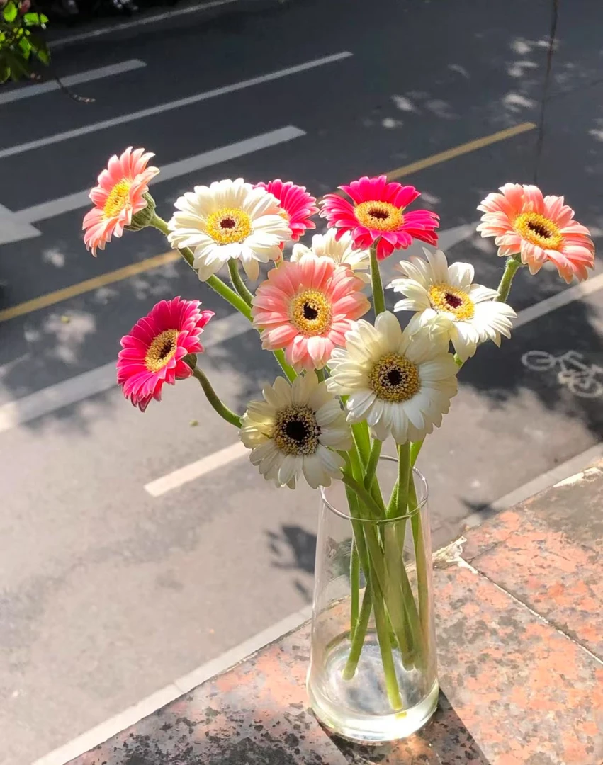 【陌上花开】30支迷你混色非洲菊-非洲菊（以直播间展示为主哦~）