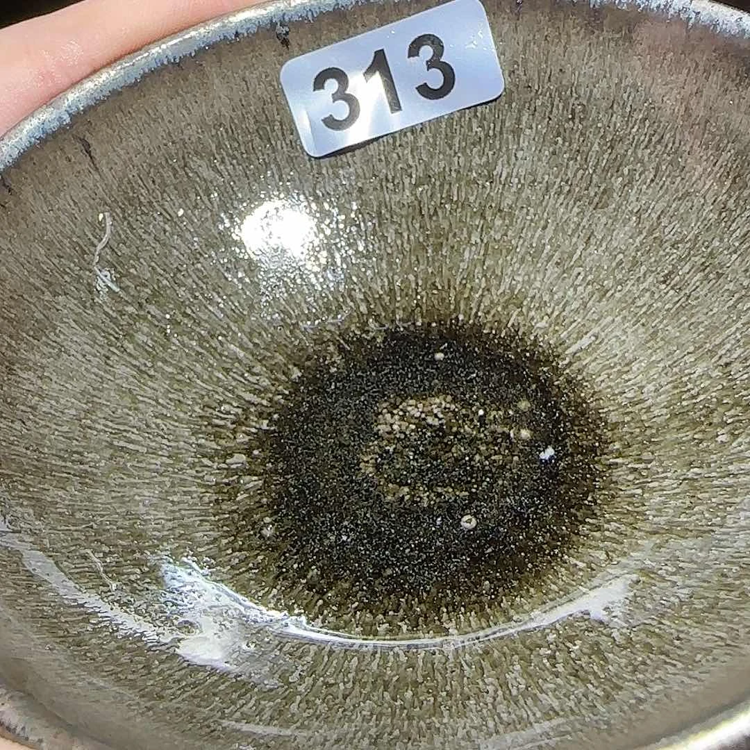 茶盏我的小猫咪也太乖
