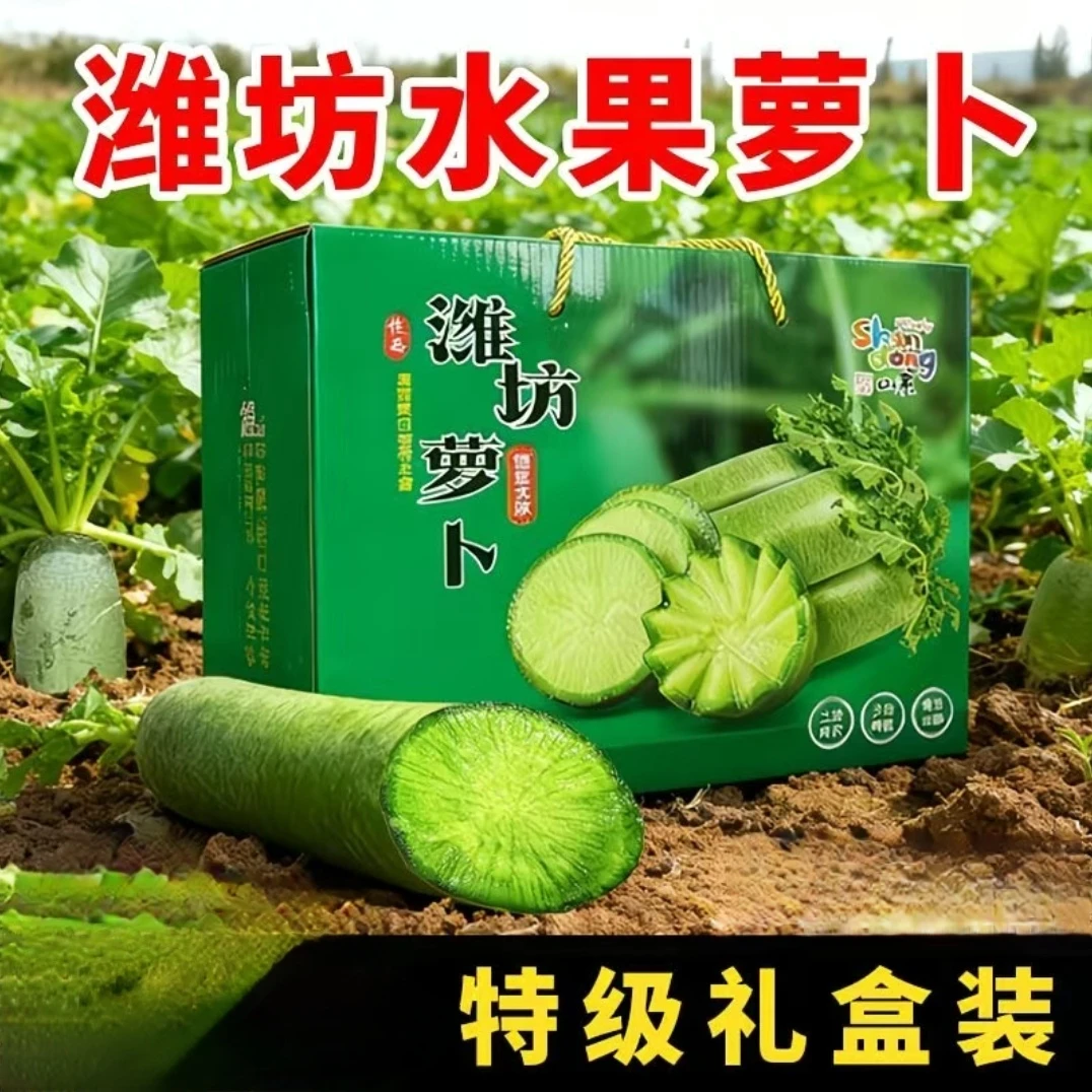 【原产地16】潍坊水果萝卜现拔现发产地直采头茬24小时到达正宗萝卜
