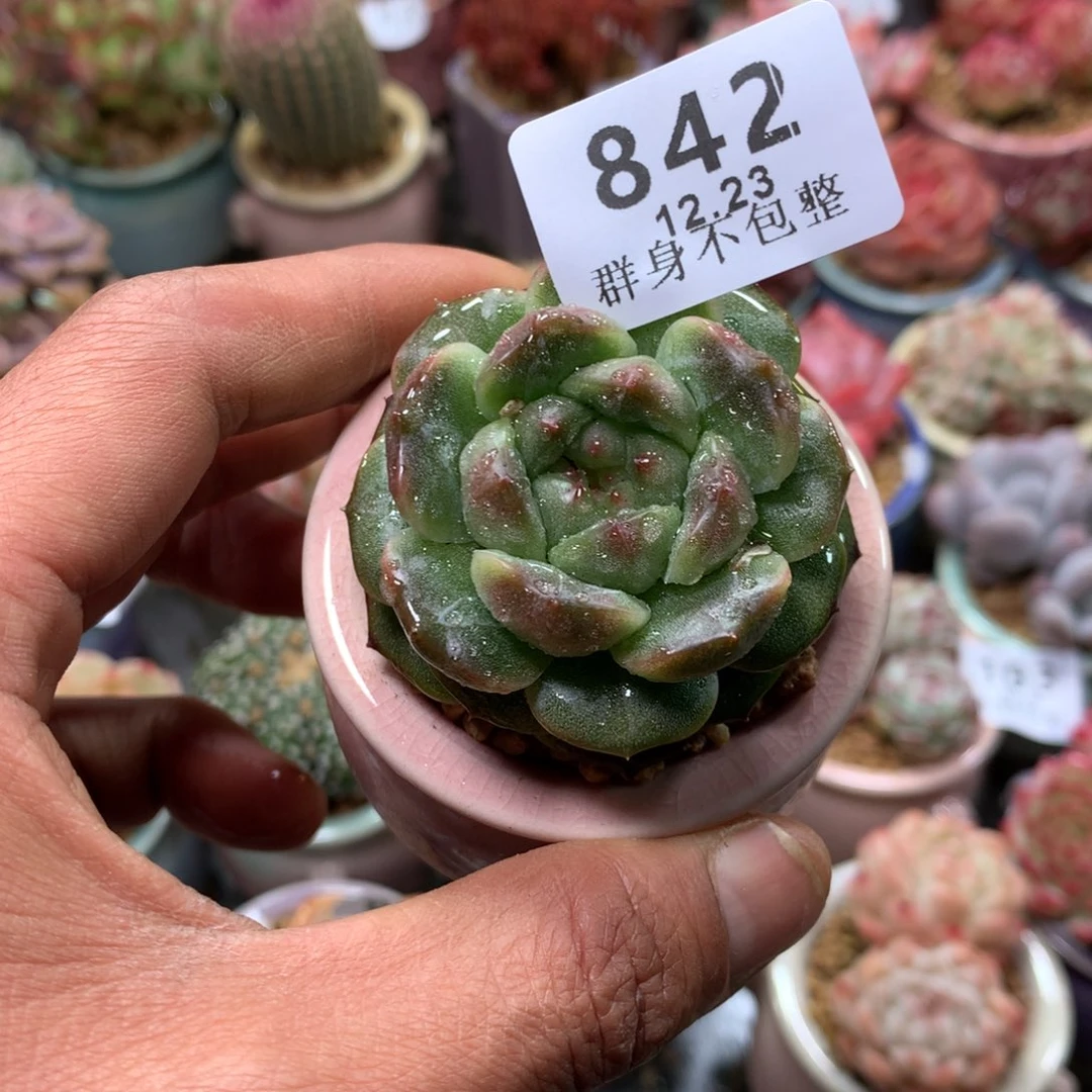 精控拇指盆12.23842