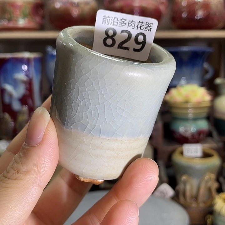 狼盆内口径4高度6