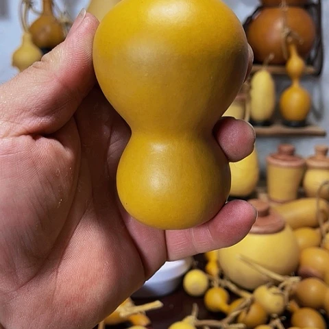 精品厚皮小八宝葫芦