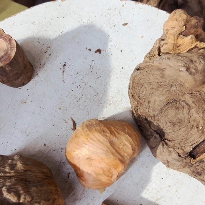 松木北沉香琥珀木