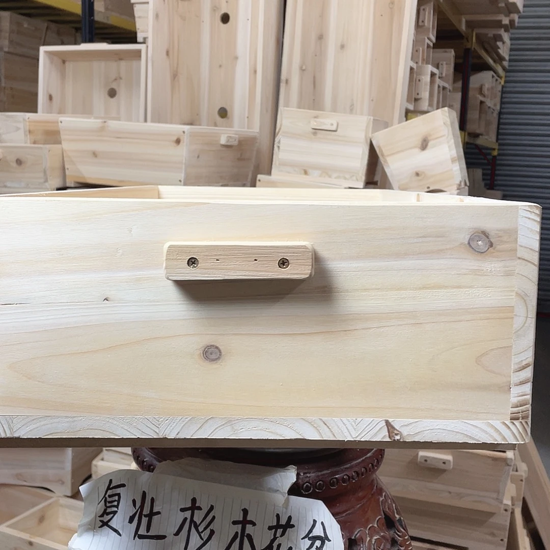 后***堂直播间福利804015