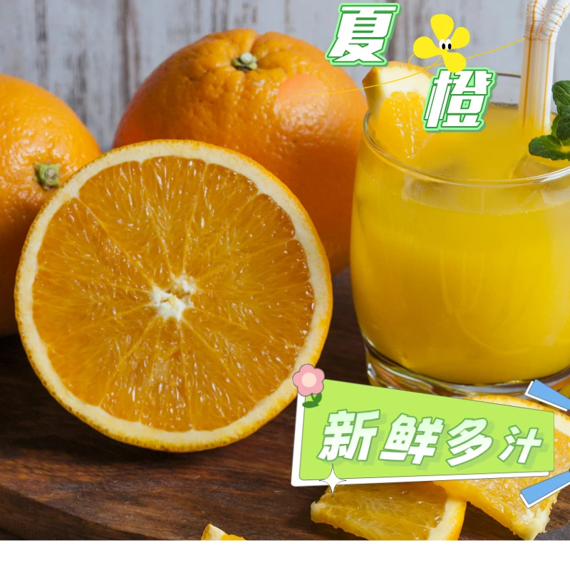 新鲜高山夏橙果园直发当季水果桂林现摘现发