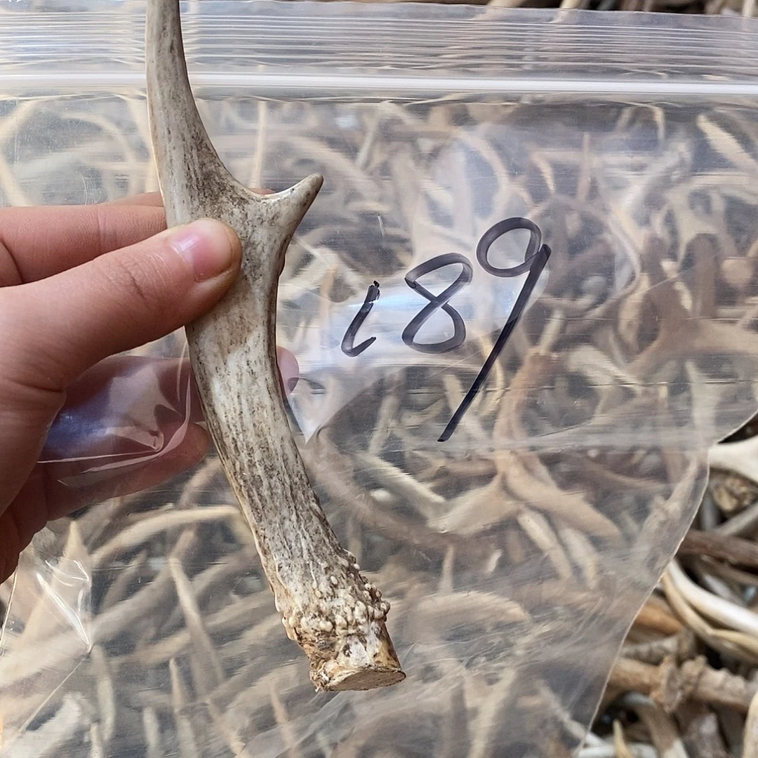 爱***e非金属鹿角鹿角鹿角