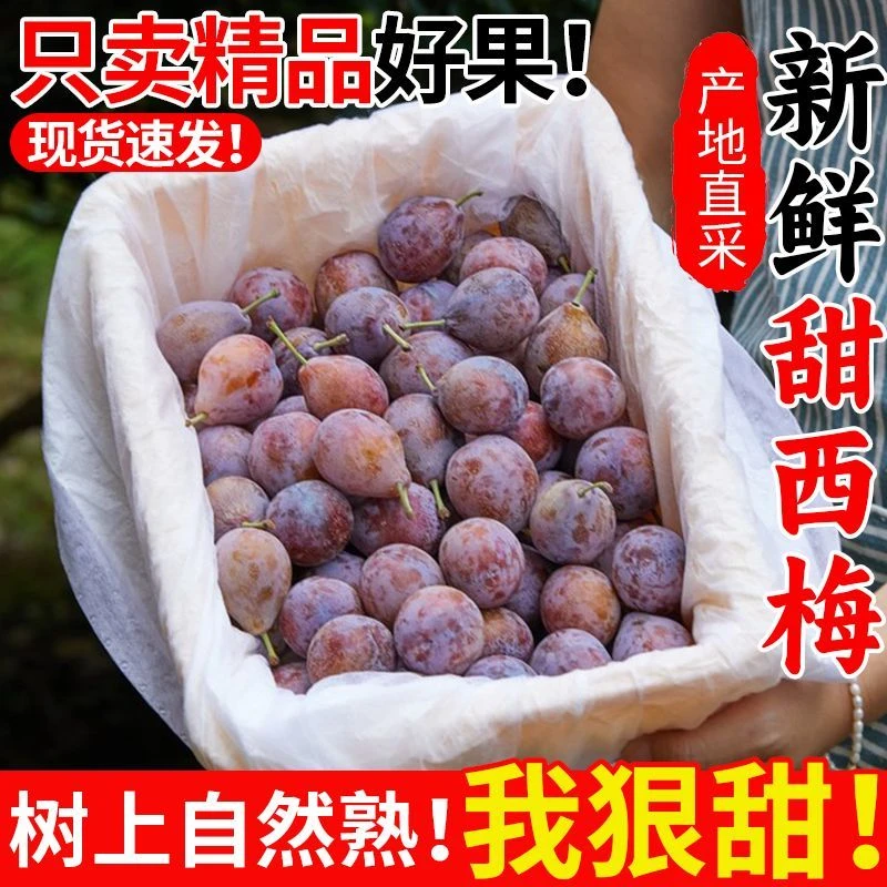 【顺丰空运】新疆正宗法兰西西梅喀什产地直发香甜多汁