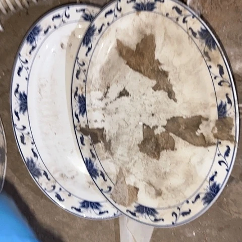 瓷片国营厂库存微瑕28.5厘米椭圆