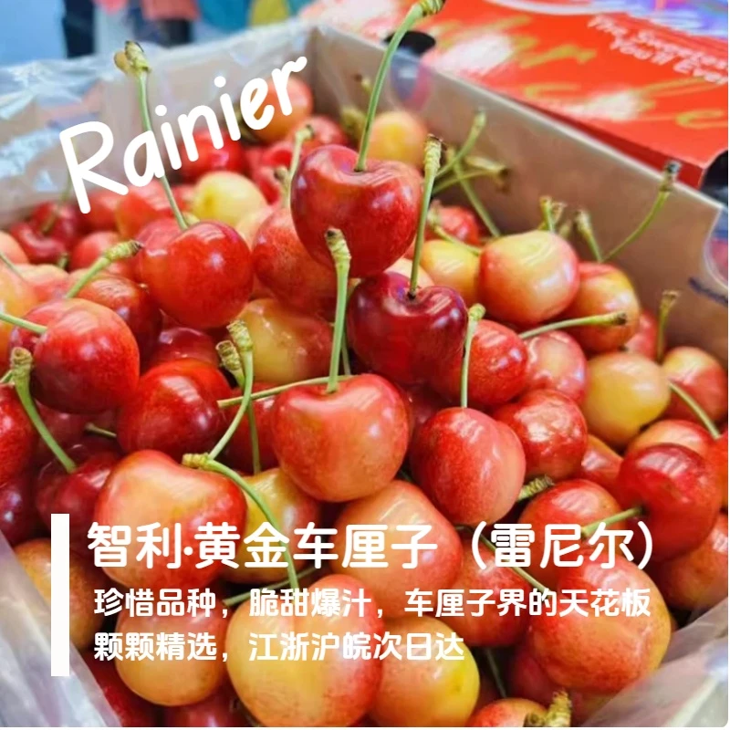 【4J高品质黄车次日达】锁扣雷尼尔4.6斤智利海运黄金车厘子内附果径卡雷尼尔樱桃智利共和国