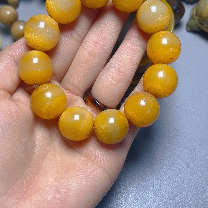 大果紫檀（缅甸花梨）