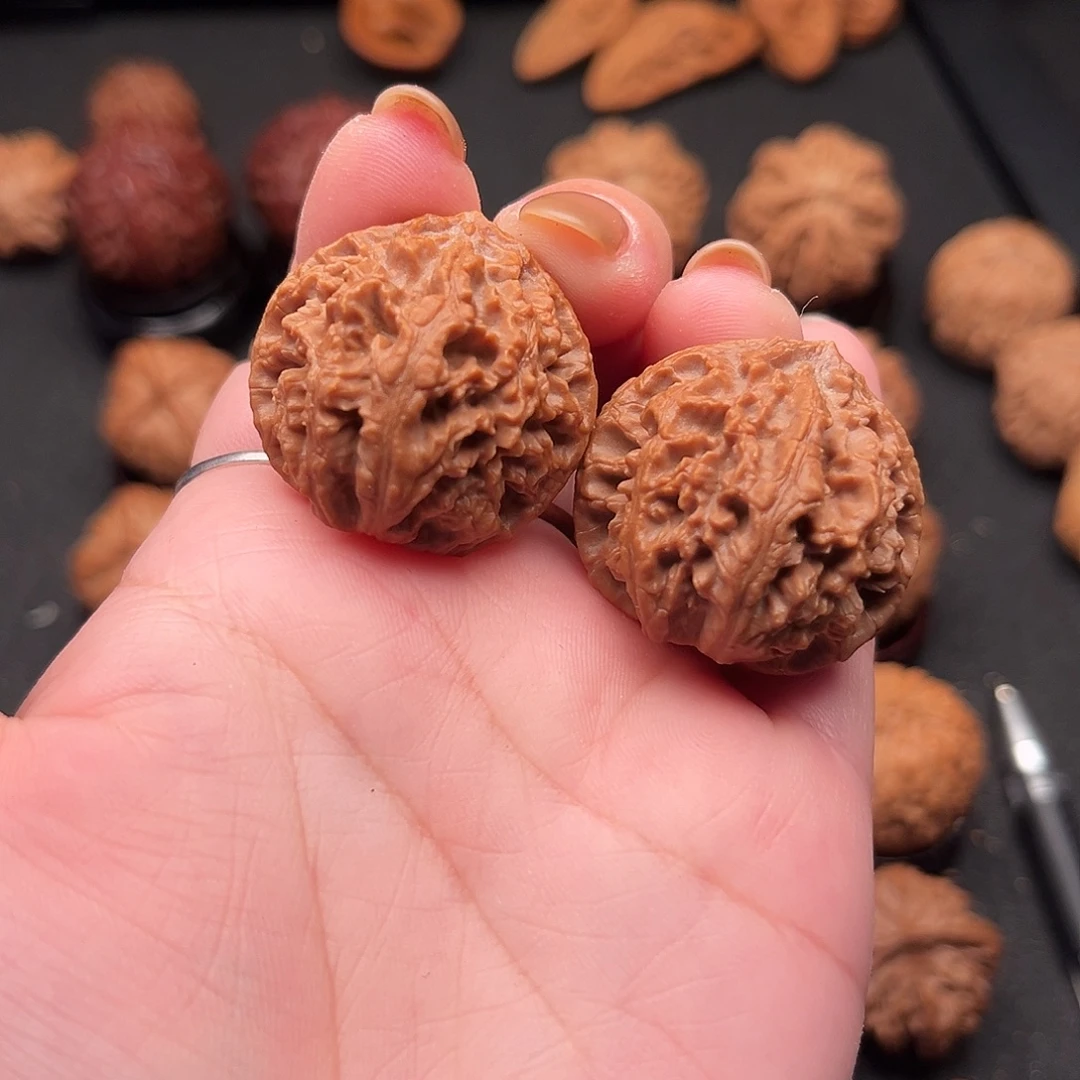 新***贝把件文玩核桃珊瑚王L