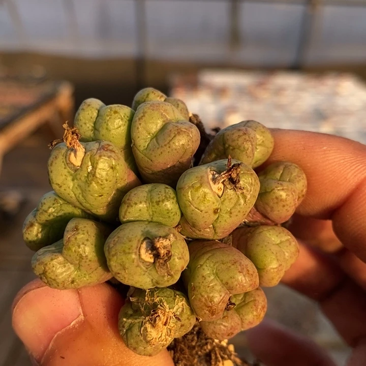 7107一个一个一个