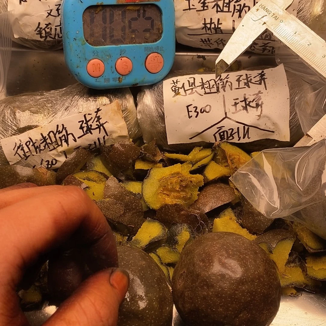 台***联服哈哈金碧辉煌哈哈哈