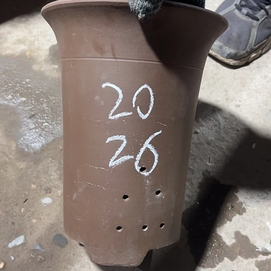 紫砂工艺厂……紫砂工艺厂