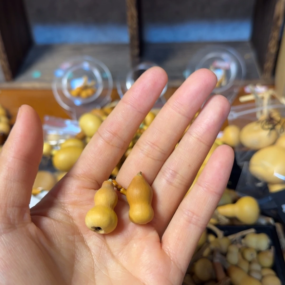 晟***蕾葫芦打孔后不退不换！（微瑕）