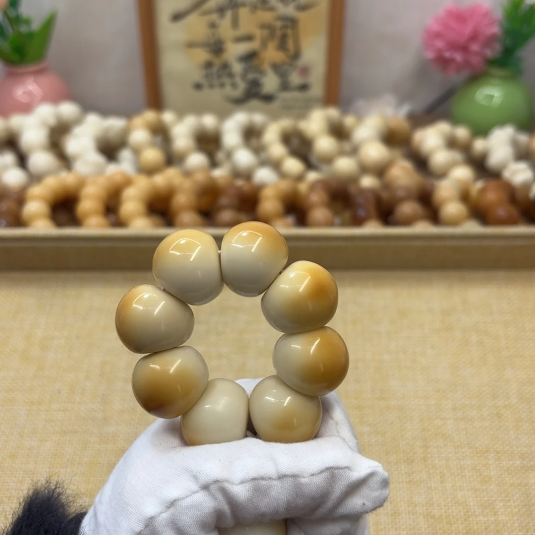 菩提根/象牙果吊坠22干磨牙果晕色山竹手捻