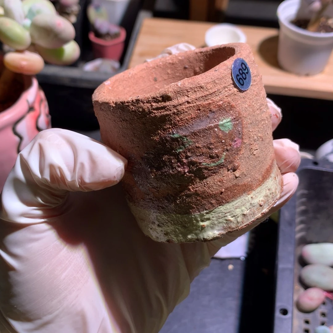 可大可好了的花盆 （  4cm）