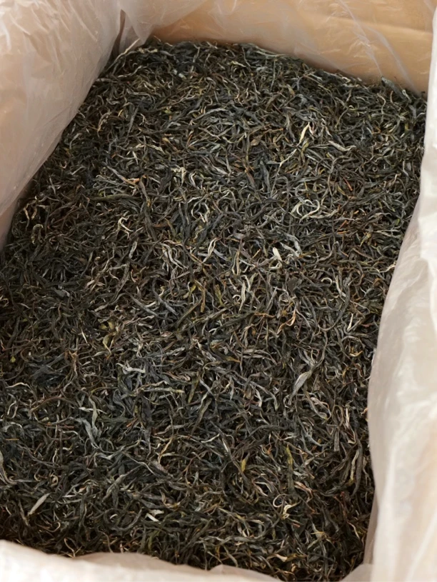 大雪山古树  2025年春  冰糖甜韵  散茶