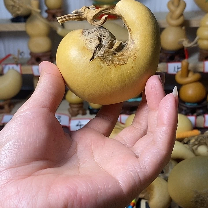 L****腰子葫芦发发发发发