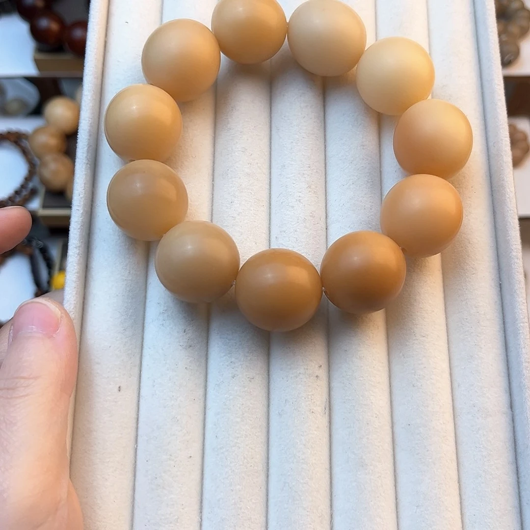 吊坠菩提根/象牙果