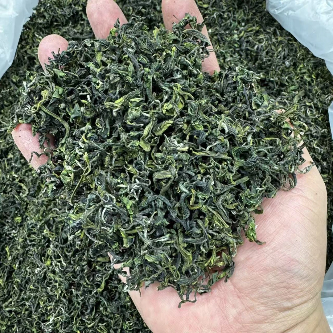 安大陆A半价清日照绿茶秋茶一芽一两叶豆香手工新茶