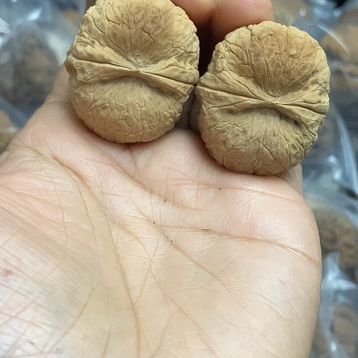 把件文玩核桃云南铁核桃基地79