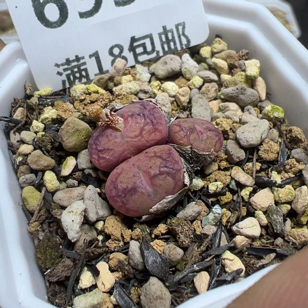 【闪购商品】 693。