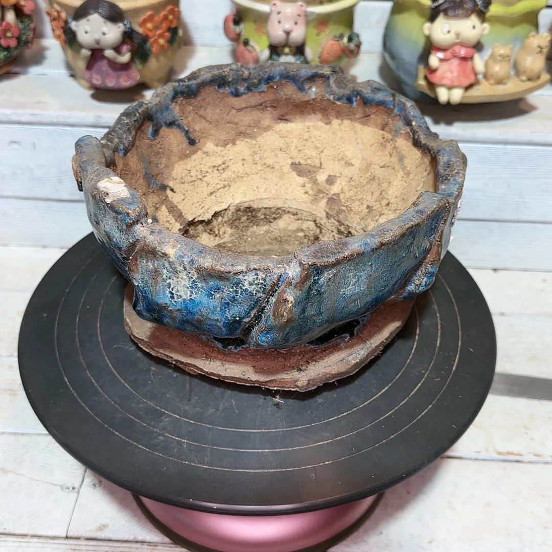 3552号盆98         盆