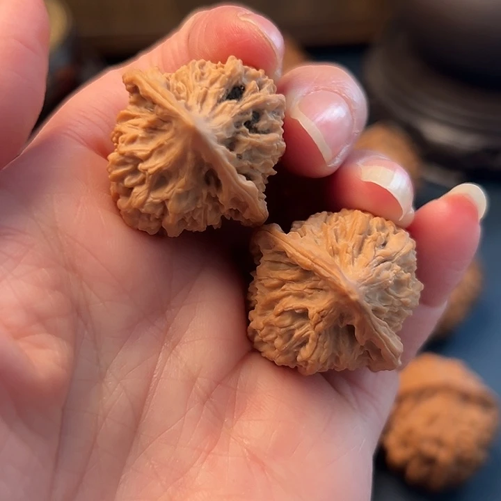 鸡心木桃花花也很