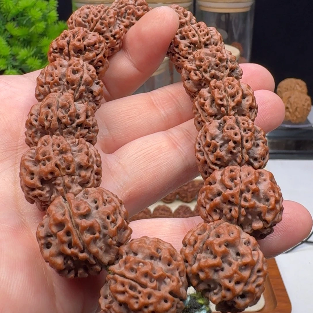 金刚菩提手串铁子蜂王