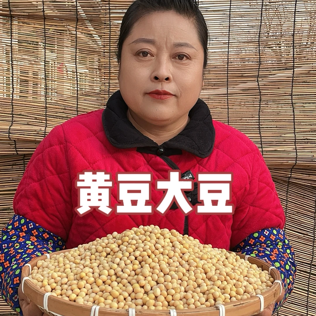 东北农家黄豆大豆5斤装2024新豆