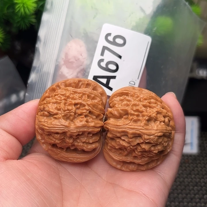 桃核把件核桃白狮子44