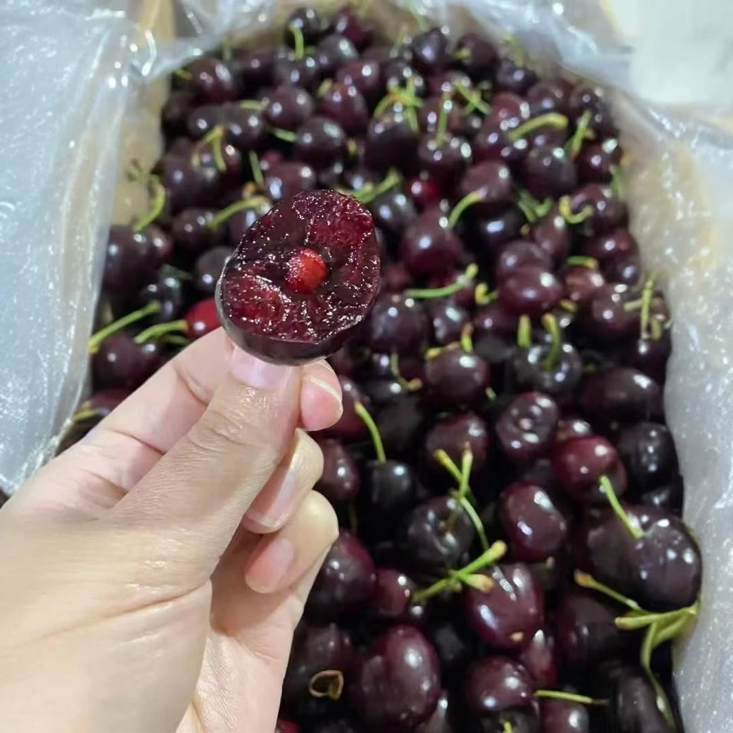 Santina 桑提娜 车厘子樱桃单3JJJD 1斤/份