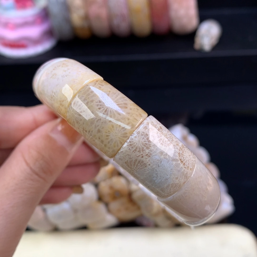 硅化珊瑚（珊瑚玉）未镶嵌颈饰五折手牌（49号）